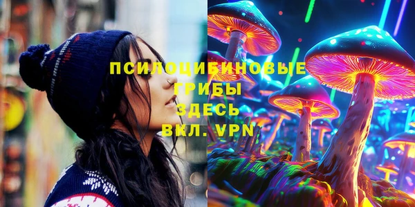 сатива Заполярный