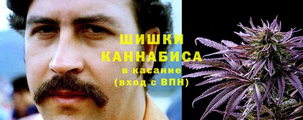 соль ск Новозыбков