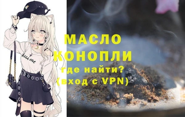 соль ск Новозыбков