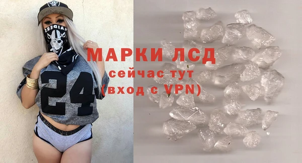 соль ск Новозыбков