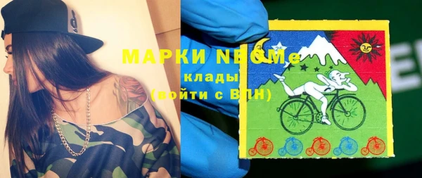 соль ск Новозыбков
