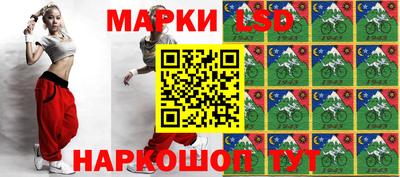 МДПВ Гатчина