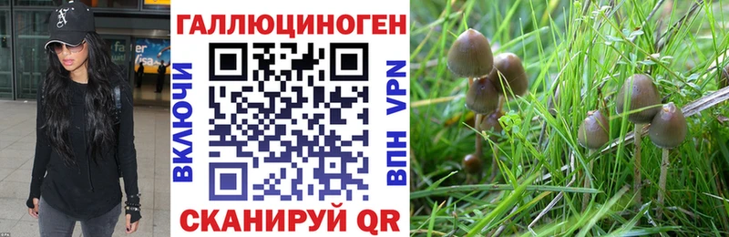 Галлюциногенные грибы Psilocybe  закладка  мега   Котельники 