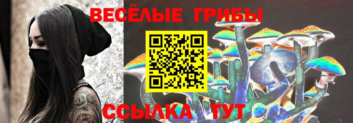 Псилоцибиновые грибы Magic Shrooms  Псилоцибиновые грибы Cubensis  купить   Котельники 