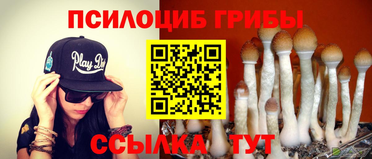 Псилоцибиновые грибы ЛСД Котельники